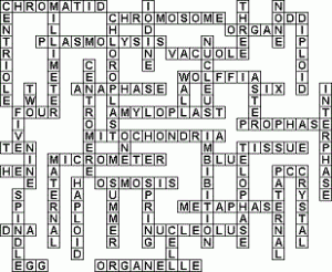 crossword-puzzles-answers